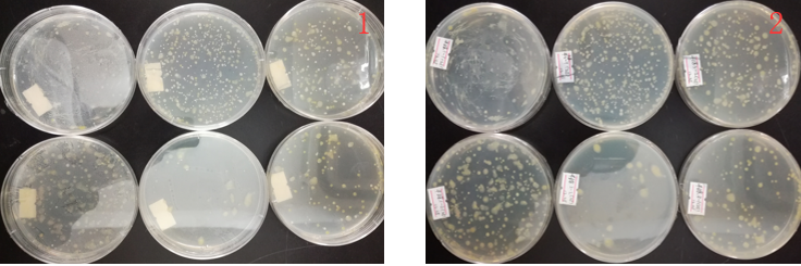 “超聲波處理對稻谷表面微生物的影響”發(fā)表論文啦！！