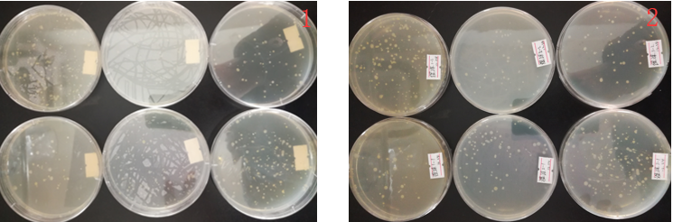 “超聲波處理對稻谷表面微生物的影響”發(fā)表論文啦！！