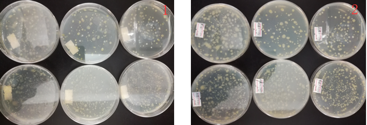 “超聲波處理對稻谷表面微生物的影響”發(fā)表論文啦！！
