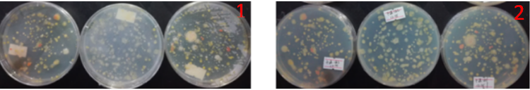 “超聲波處理對稻谷表面微生物的影響”發(fā)表論文啦！！