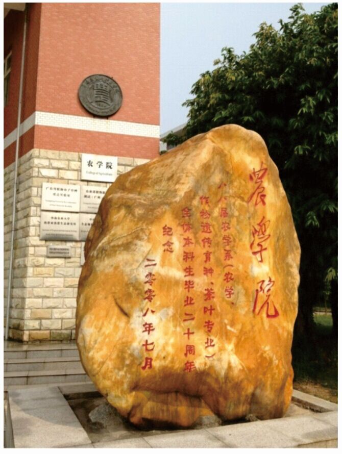 華南農業大學