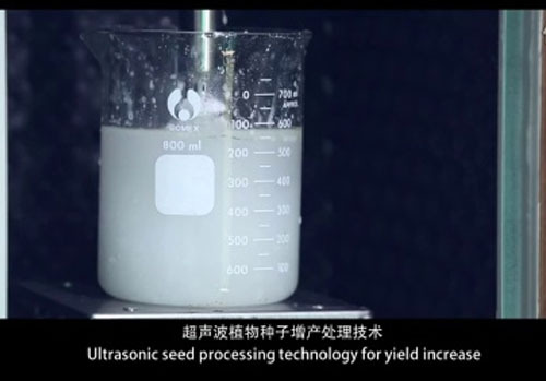 金稻植物種子增產處理機宣傳片